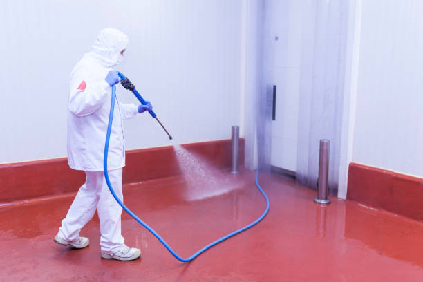 Best Rust Removal  in Eastern Goleta Valley, CA